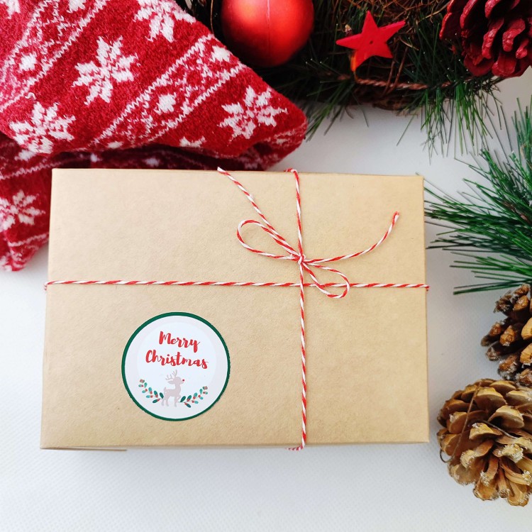 Polish_20221111_220326209 (1) (1).jpg