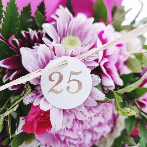 Polish_20221018_214610580 (1) (2) (1).jpg