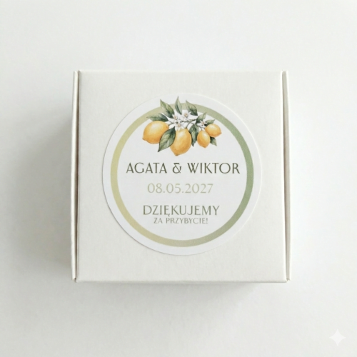 Gemini_Generated_Image_vq8k3hvq8 (2).png